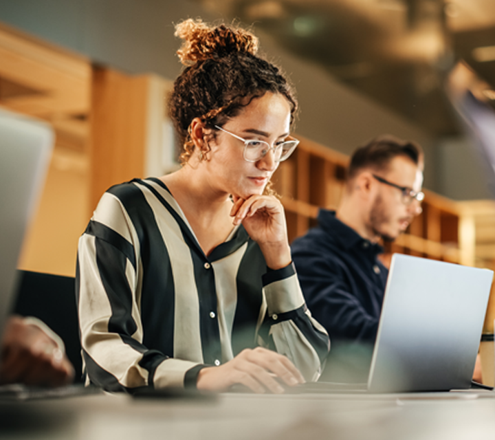 AI Annotation & Data Labelling